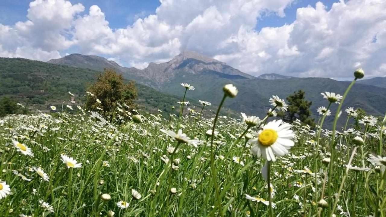 Agriturismo Al Pagan Pigna Ngoại thất bức ảnh